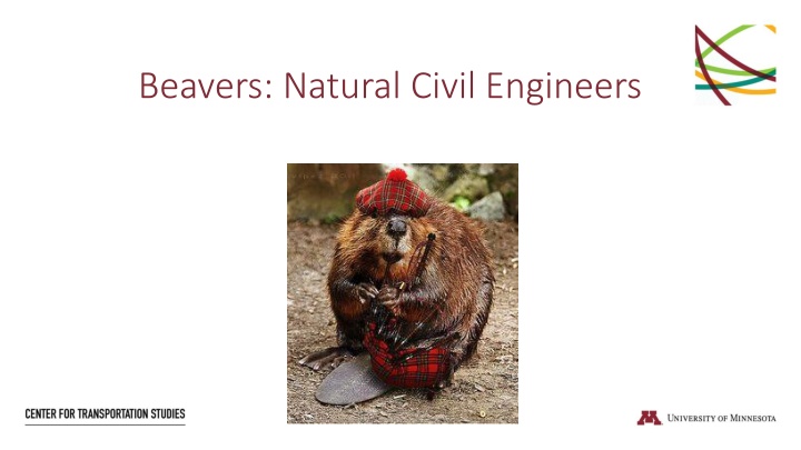 beavers natural civil engineers