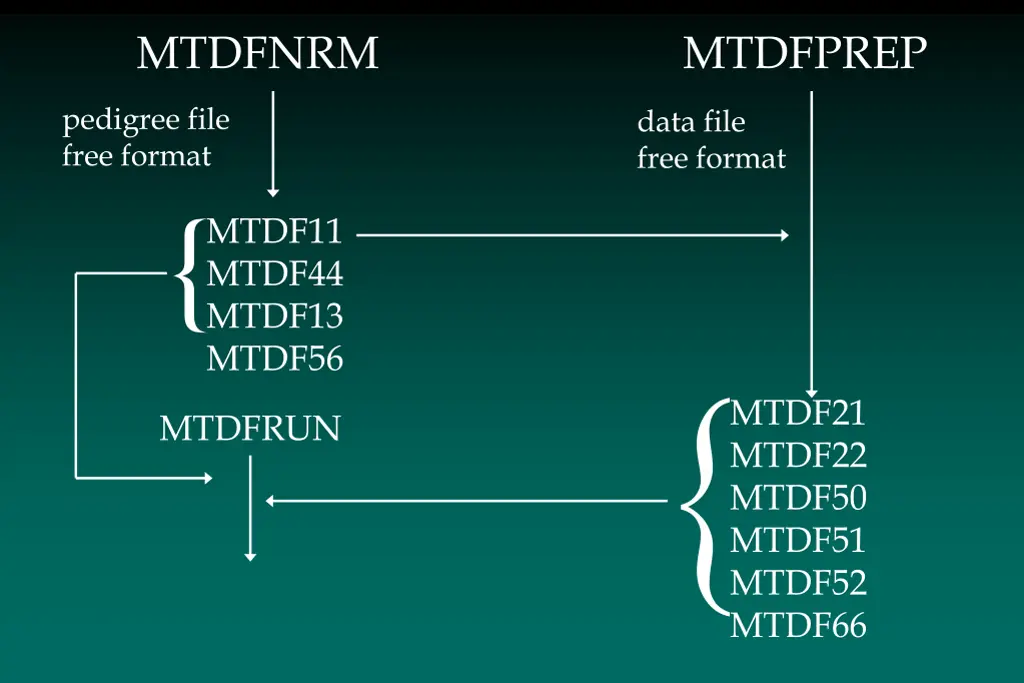 mtdfnrm
