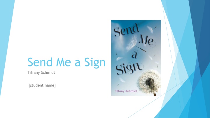send me a sign tiffany schmidt