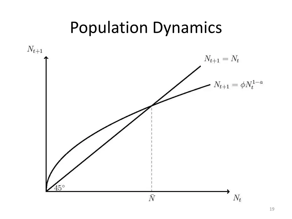 population dynamics 2