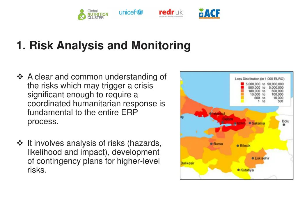 1 risk analysis and monitoring