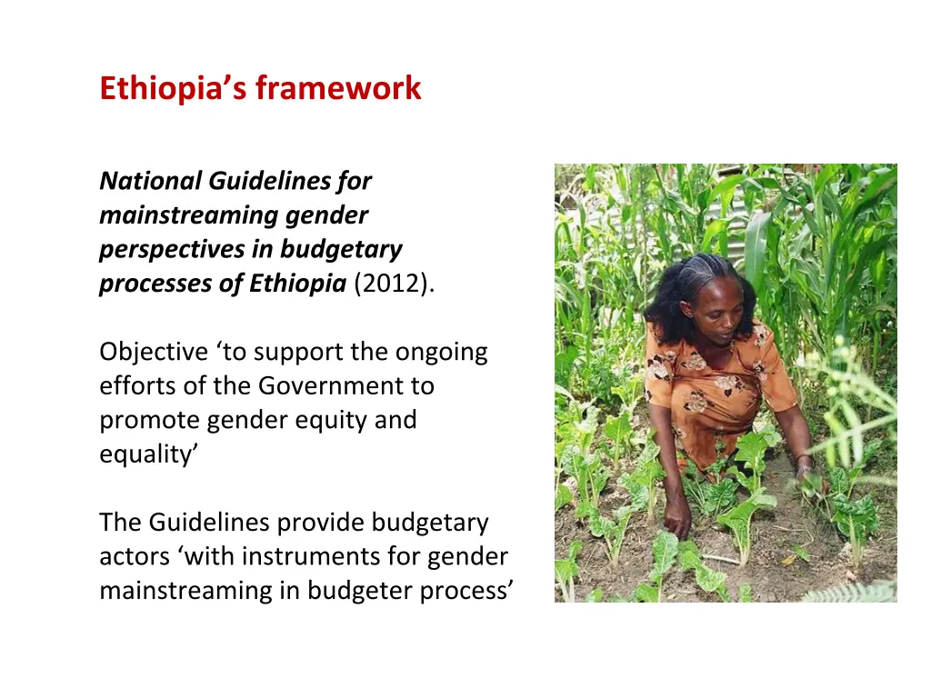 ethiopia s framework