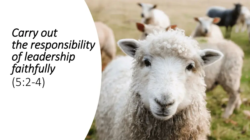 carry out carry out the the responsibility