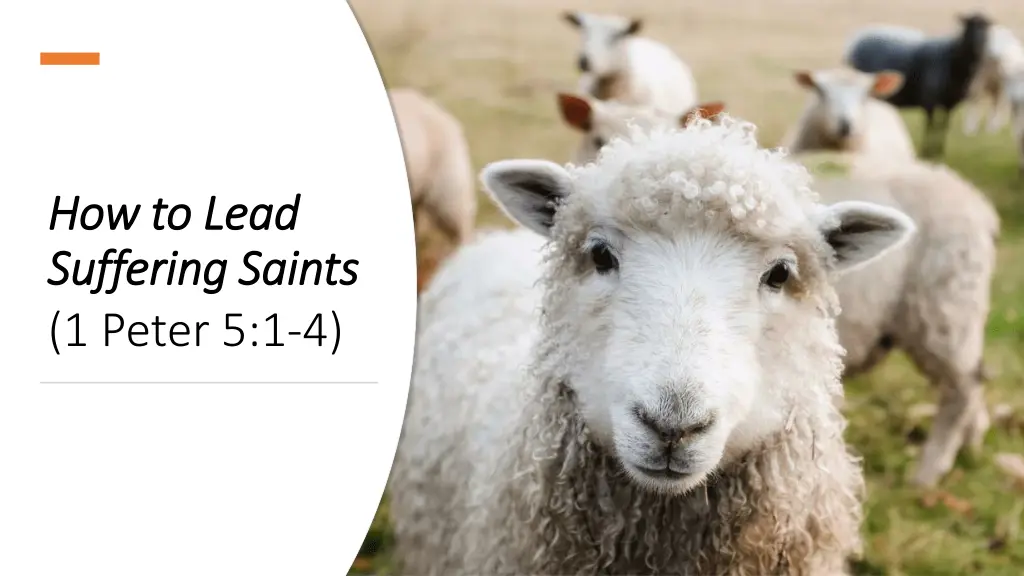 how to lead how to lead suffering saints 1