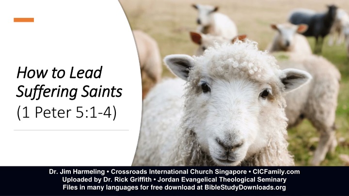how to lead how to lead suffering saints