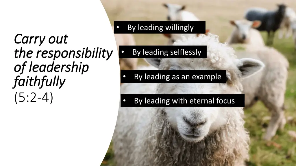 slide14