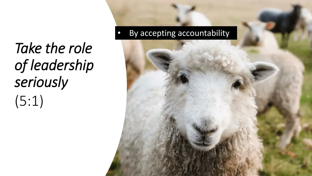 slide7