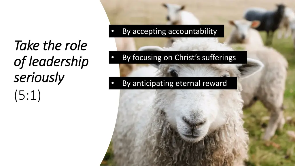 slide9