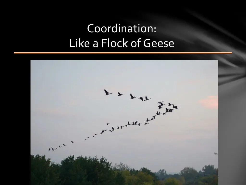 coordination like a flock of geese