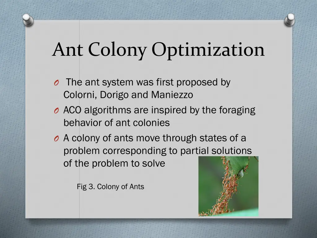 ant colony optimization