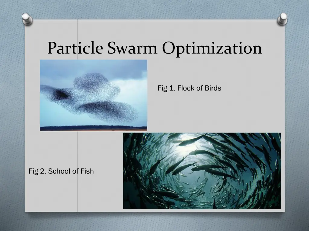 particle swarm optimization