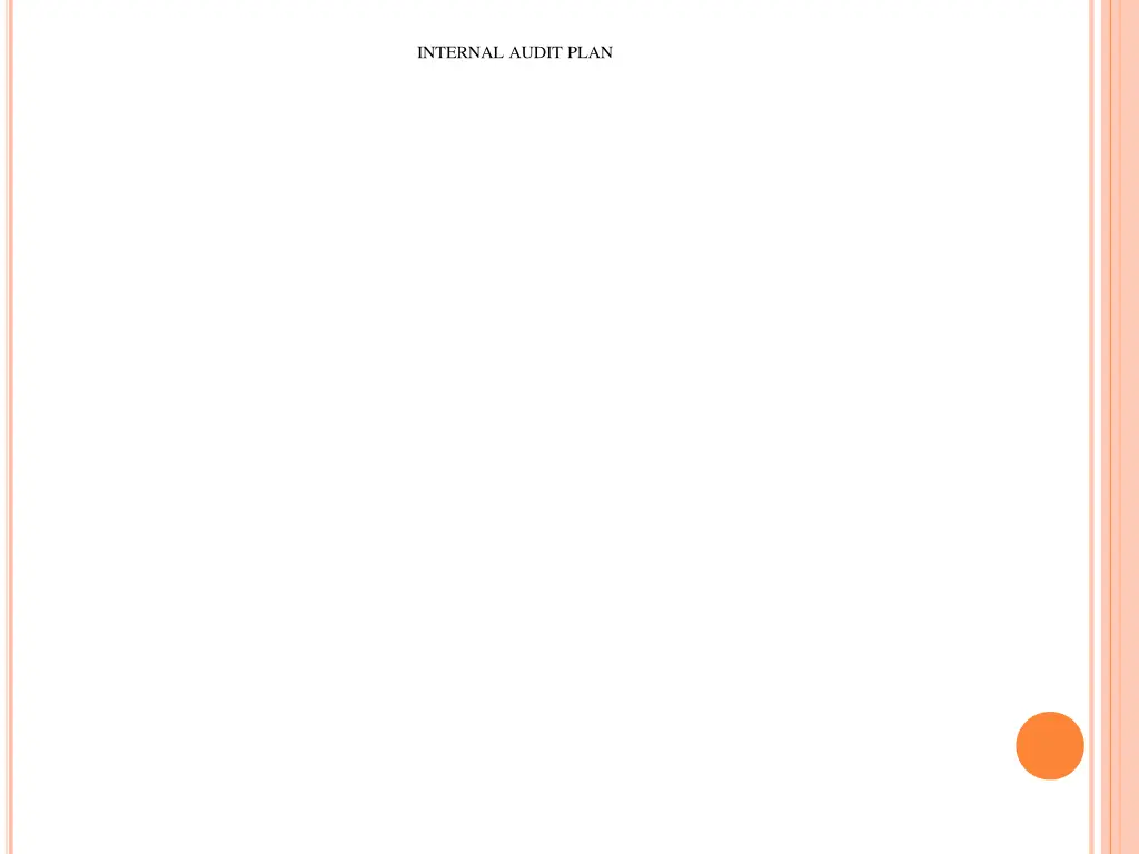 internal audit plan 1