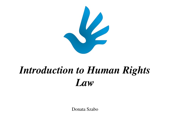 introduction to human rights law