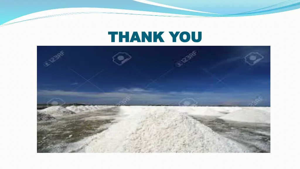 thank you thank you