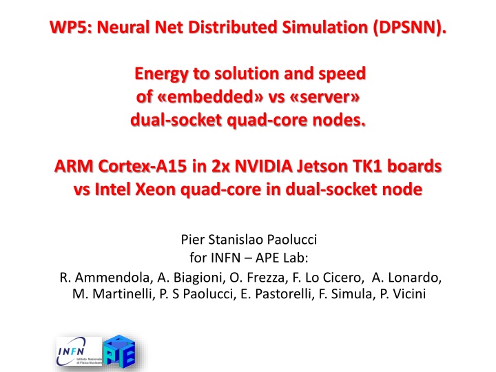 wp5 neural net distributed simulation dpsnn