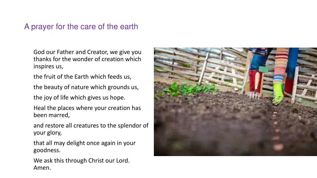 a prayer for the care of the earth