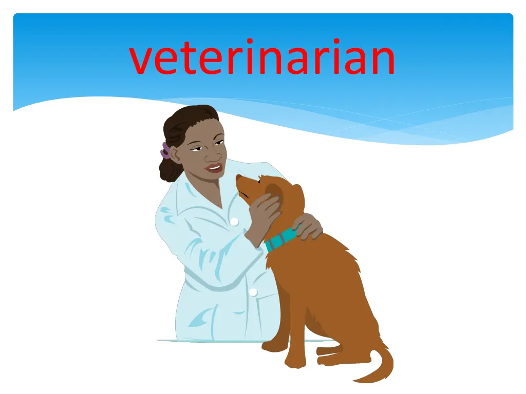 veterinarian