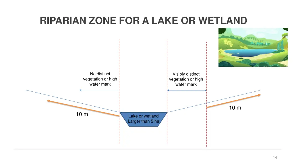 riparian zone for a lake or wetland