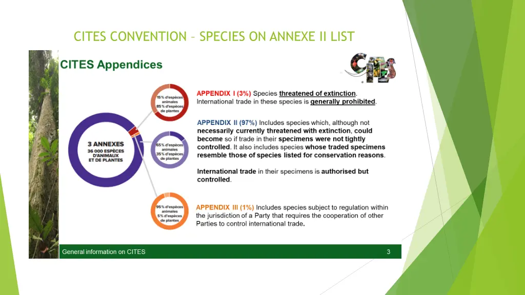 cites convention species on annexe ii list