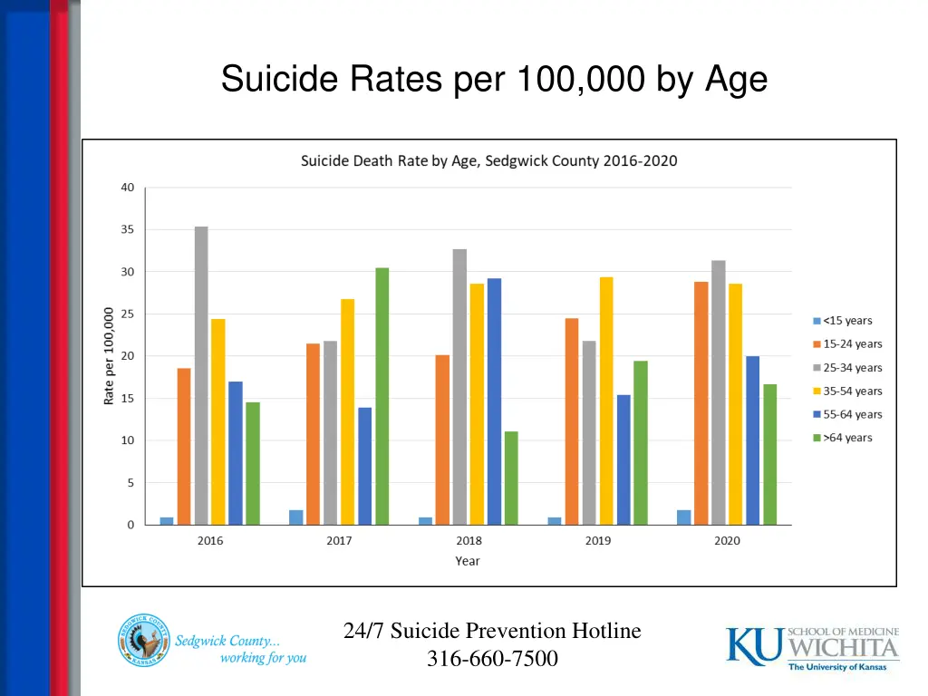suicide rates per 100 000 by age