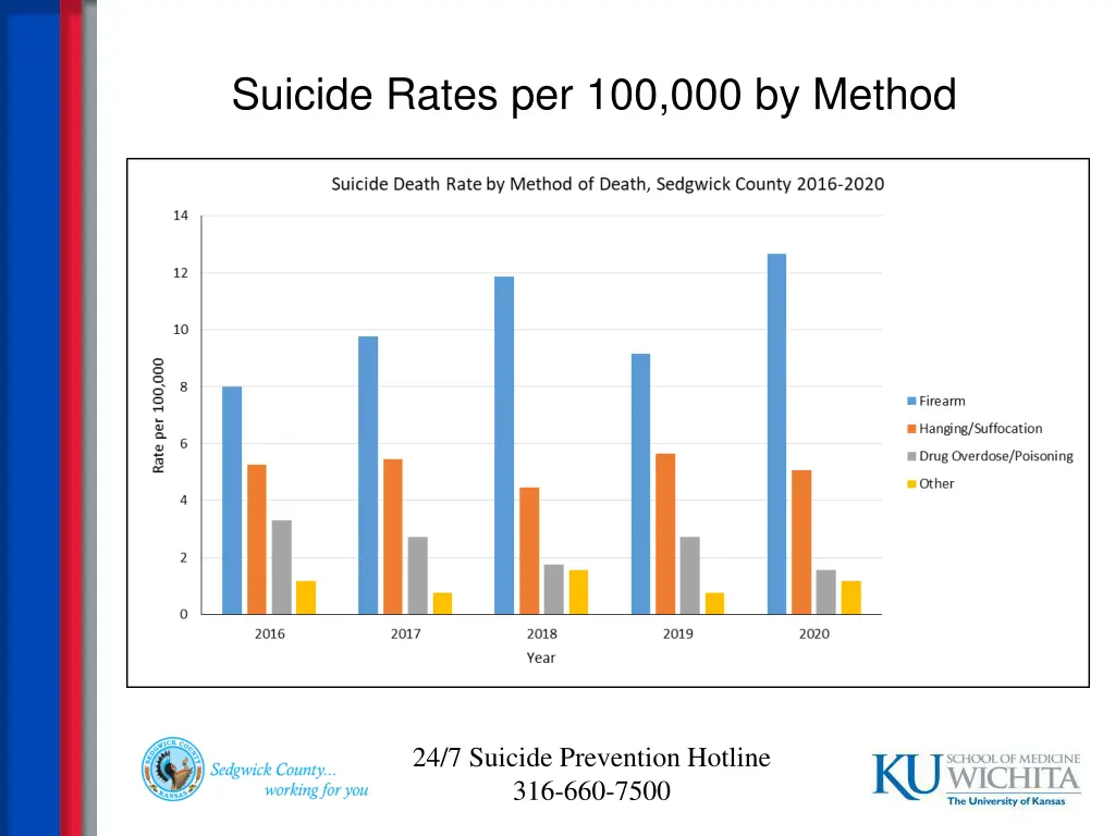 suicide rates per 100 000 by method