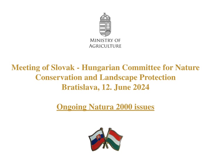 meeting of slovak hungarian committee for nature