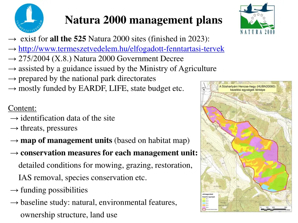 natura 2000 management plans