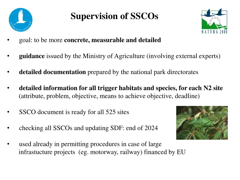 supervision of sscos
