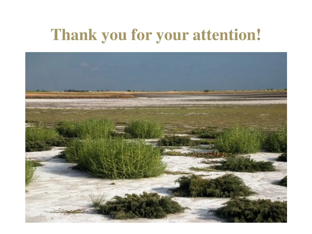 thank you for your attention