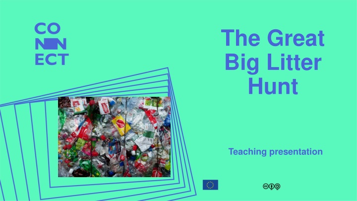 the great big litter hunt