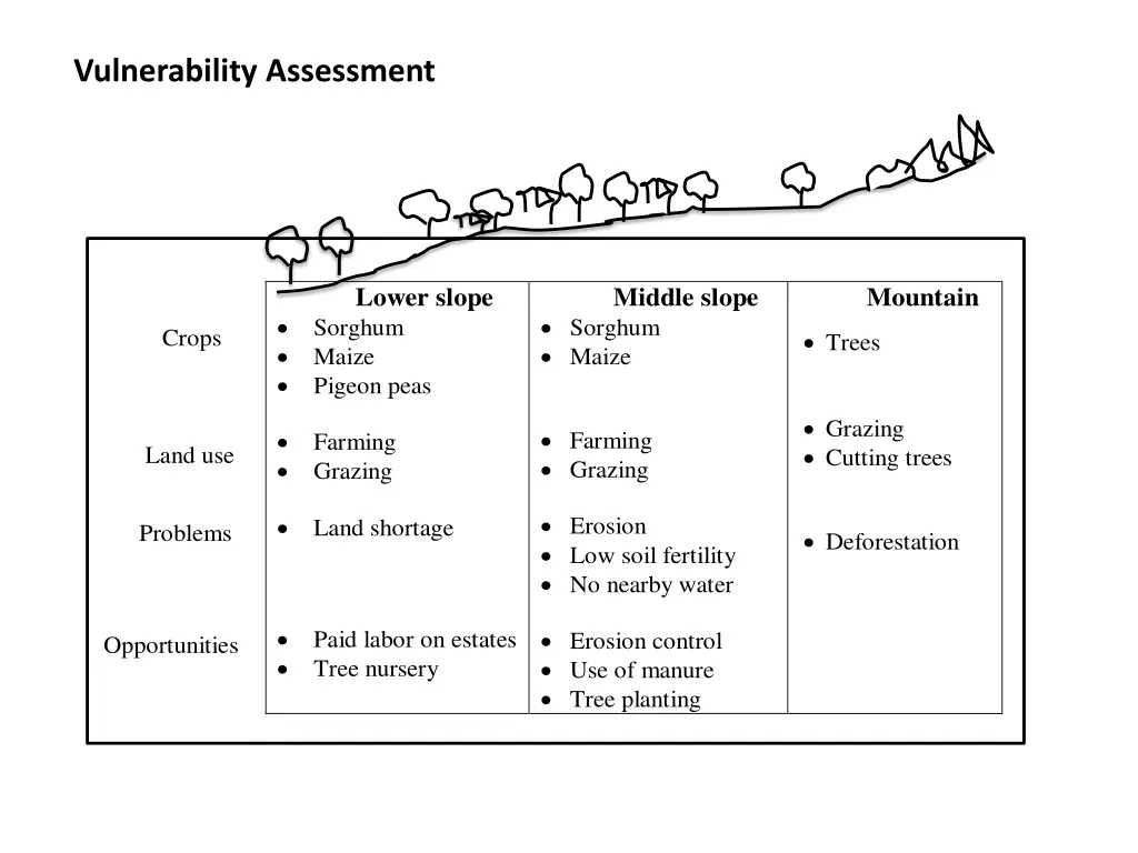 vulnerability assessment 3