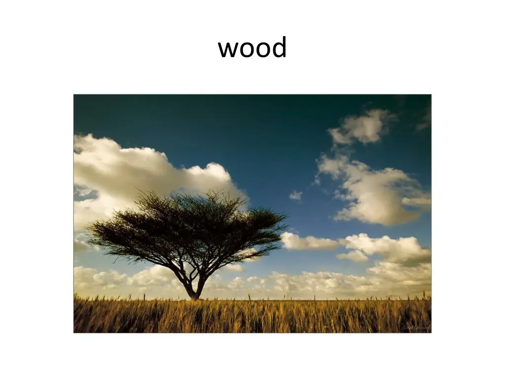 slide4