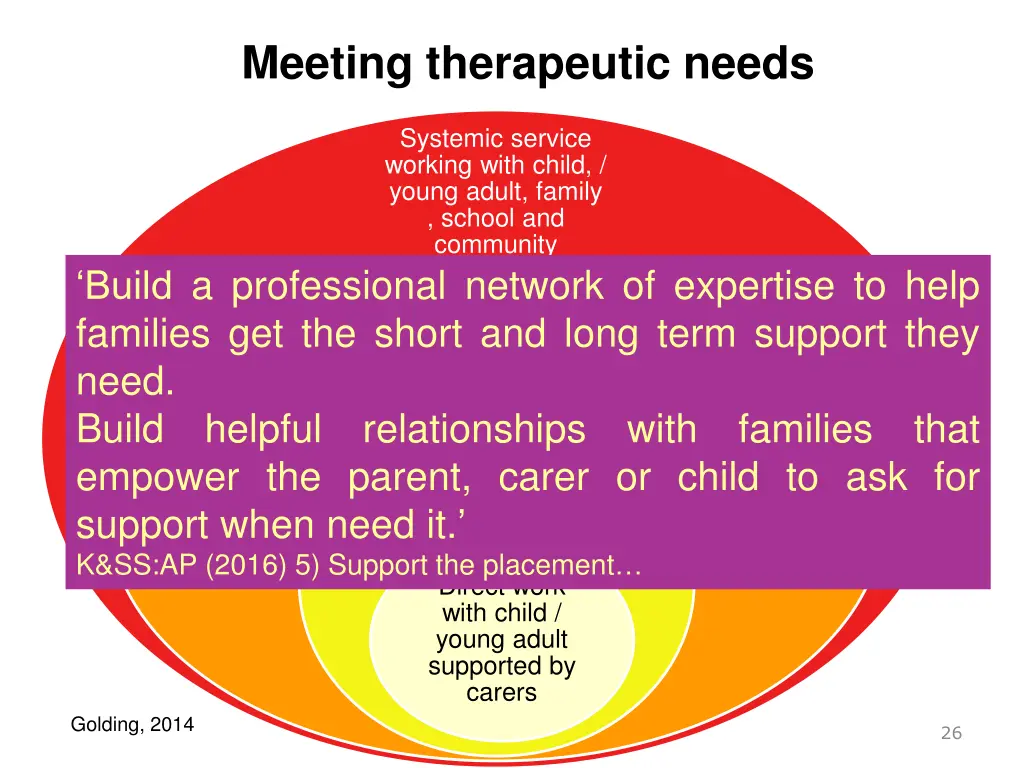 meeting therapeutic needs