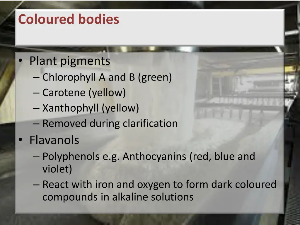 coloured bodies