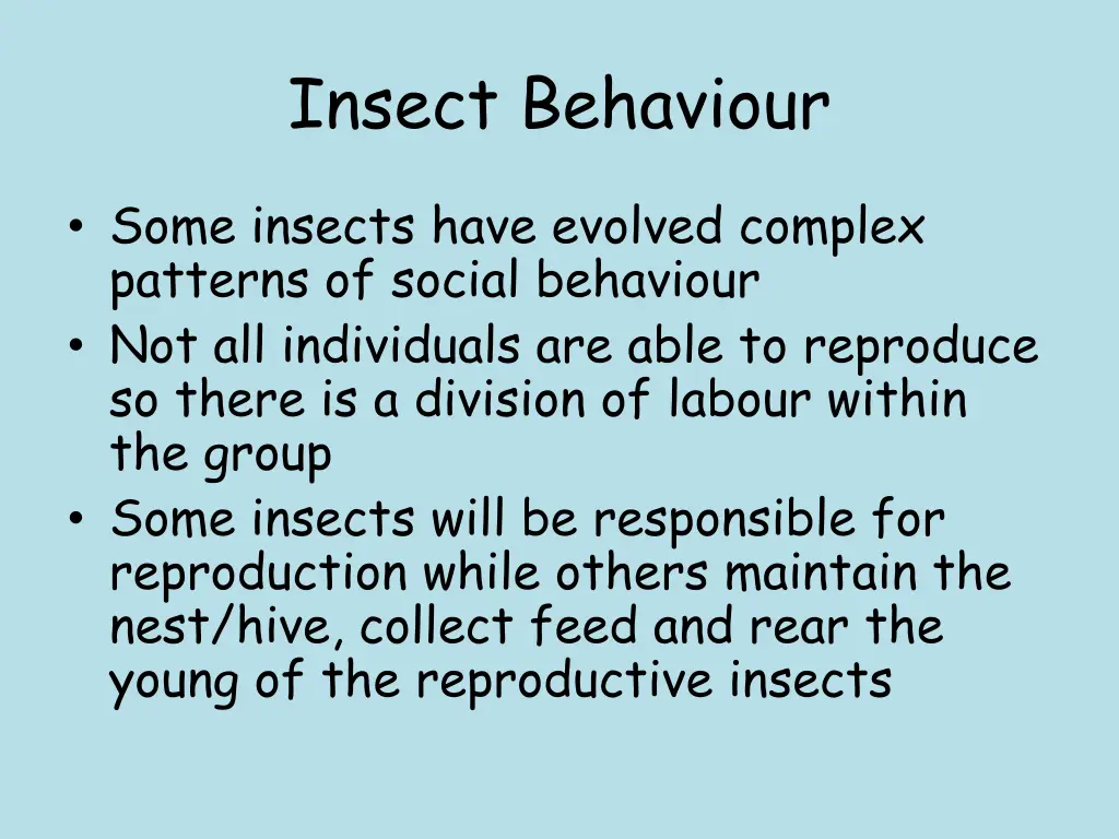 insect behaviour
