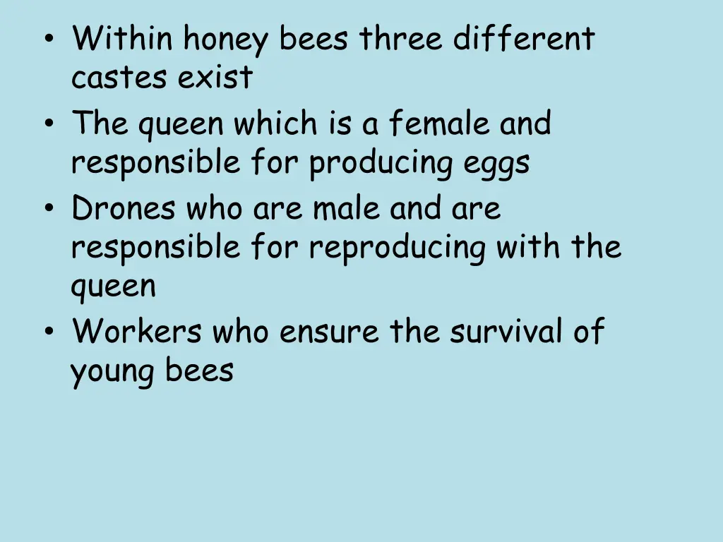 within honey bees three different castes exist