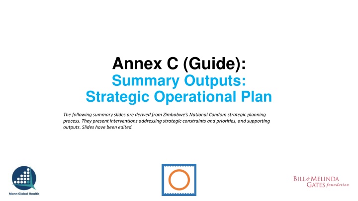 annex c guide summary outputs strategic