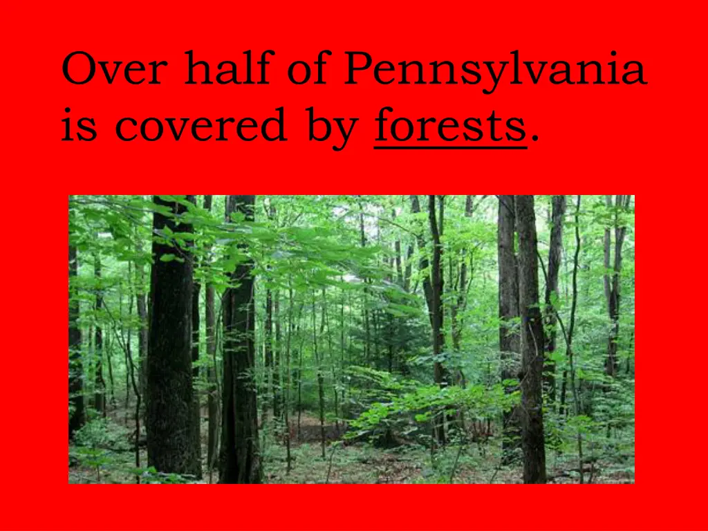 over half of pennsylvania is covered by forests