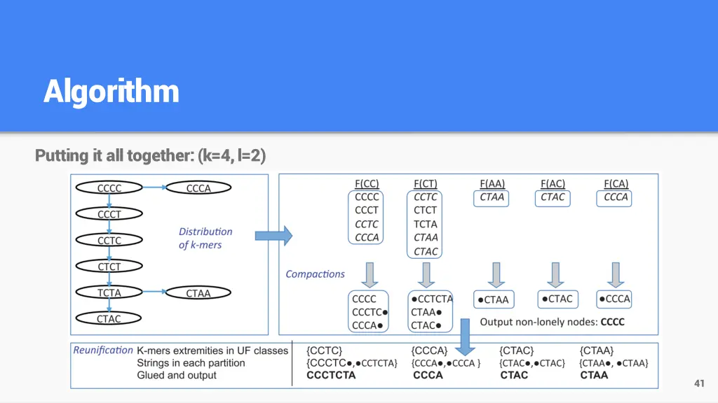 algorithm 11