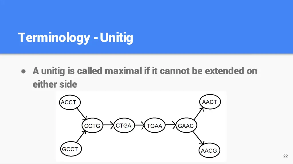 terminology unitig 2