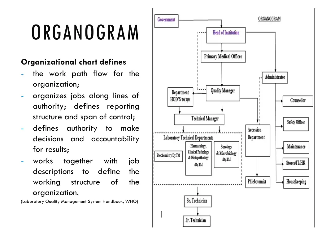 organogram