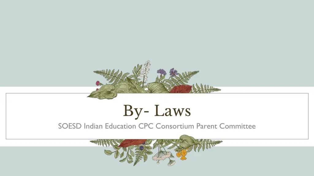 by laws