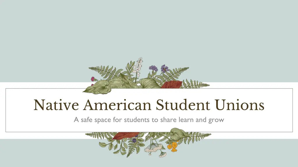 native american student unions a safe space