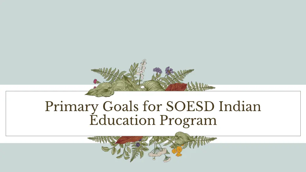 primary goals for soesd indian education program