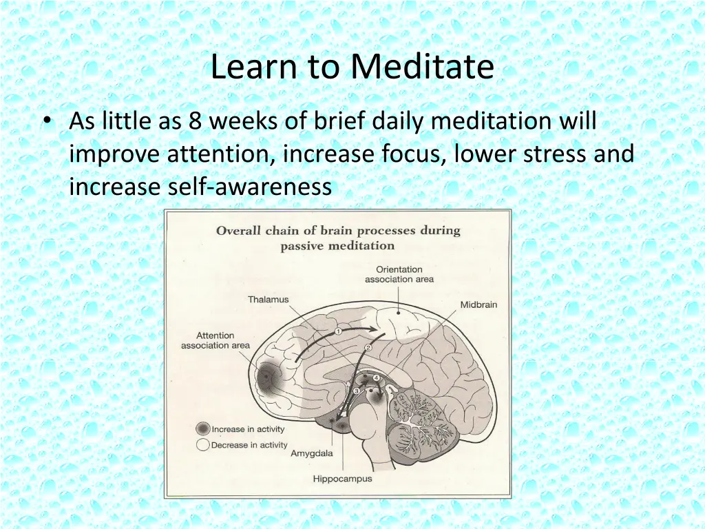 learn to meditate