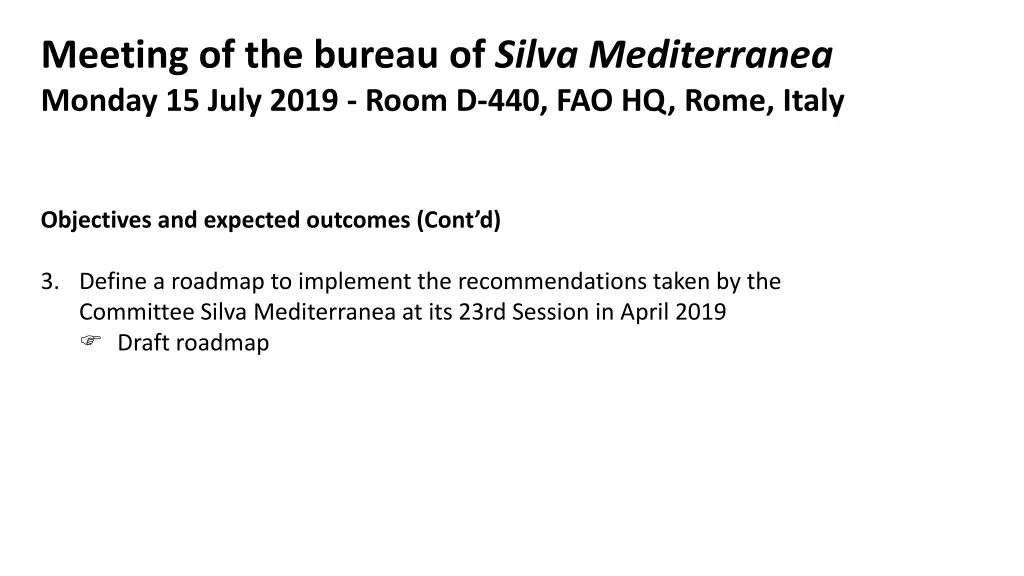 meeting of the bureau of silva mediterranea 1