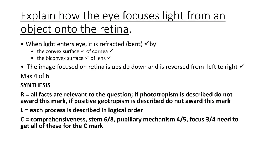 explain how the eye focuses light from an object