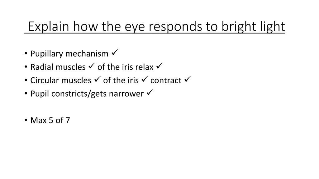 explain how the eye responds to bright light