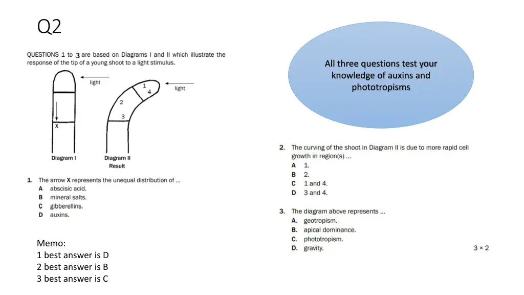 slide7