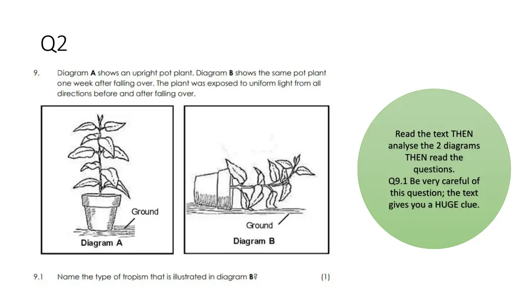 slide8
